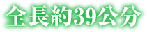 全長約39公分