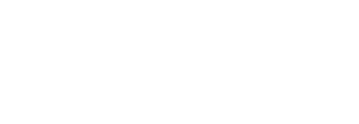 댄디에이스