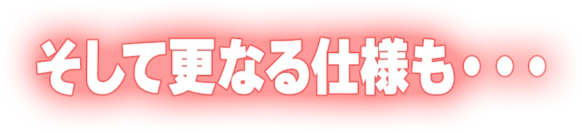 そして更なる仕様も・・・