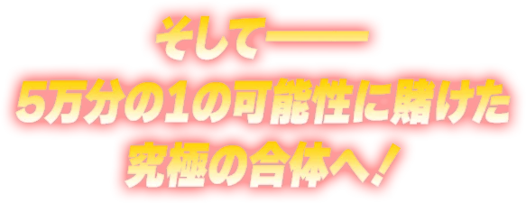 そして———5万分の1の可能性に賭けた究極の合体へ！