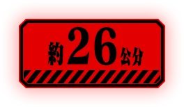 約26公分