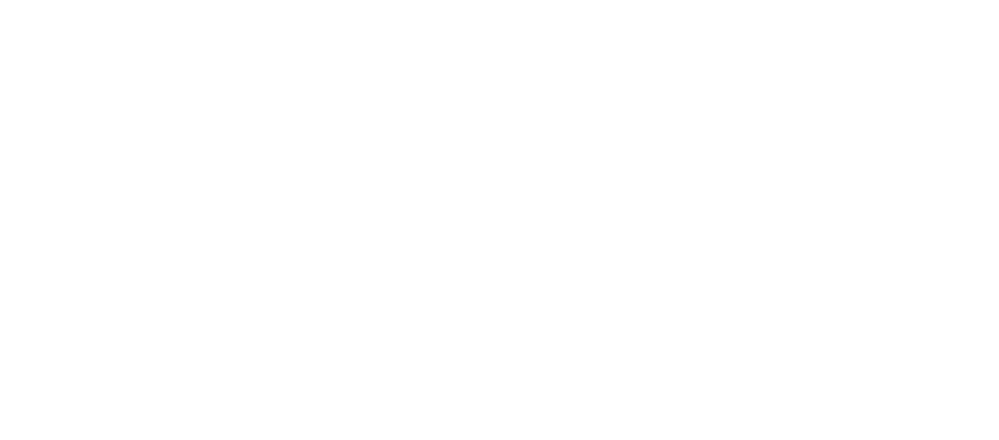 해외 이벤트 개최 기념 한정 아이템