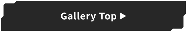 Gallery Top