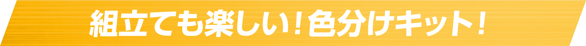 組立ても楽しい！色分けキット！